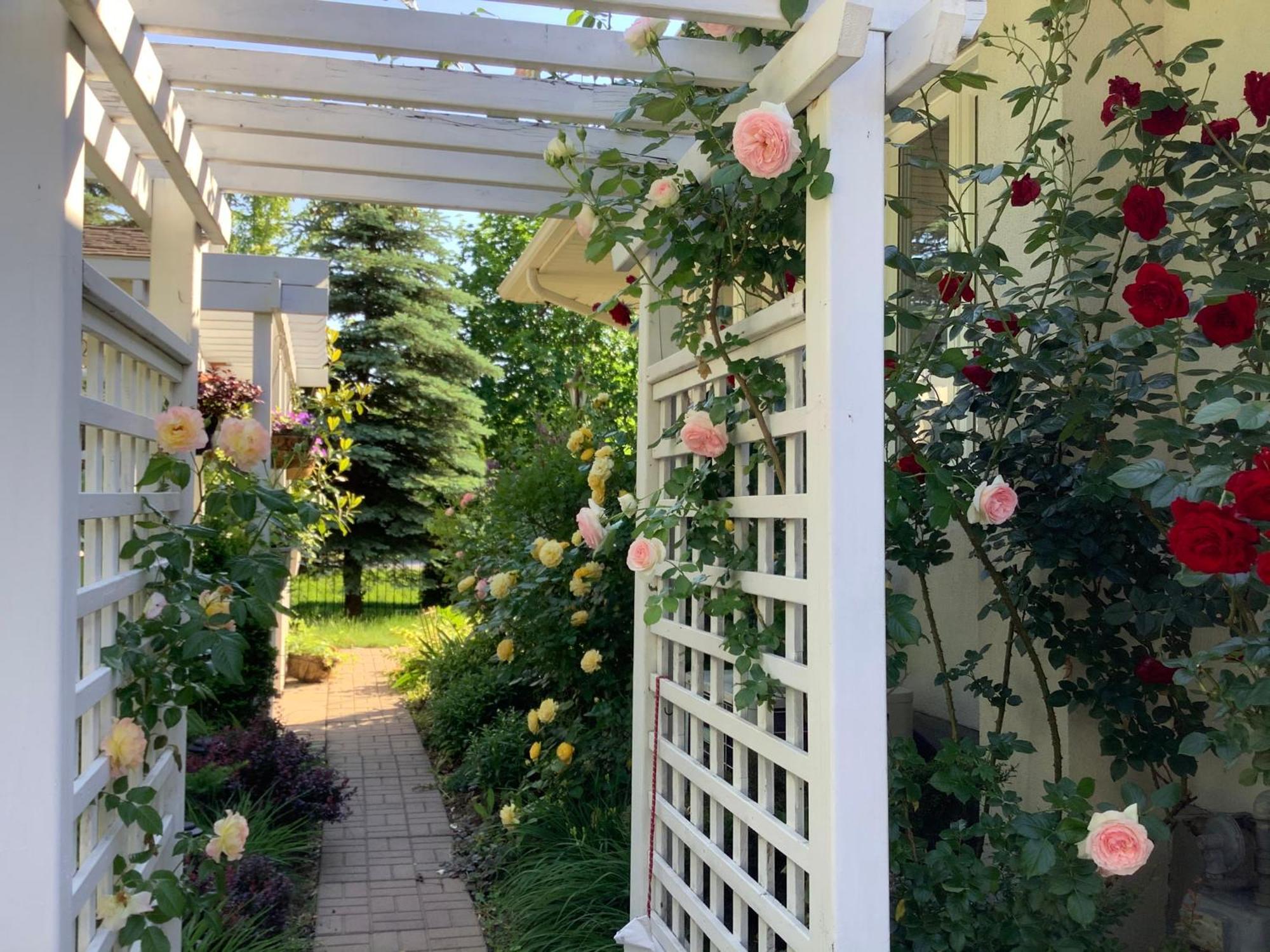 Bed and Breakfast Via Veneto - Old Town Niagara-on-the-Lake Exterior foto