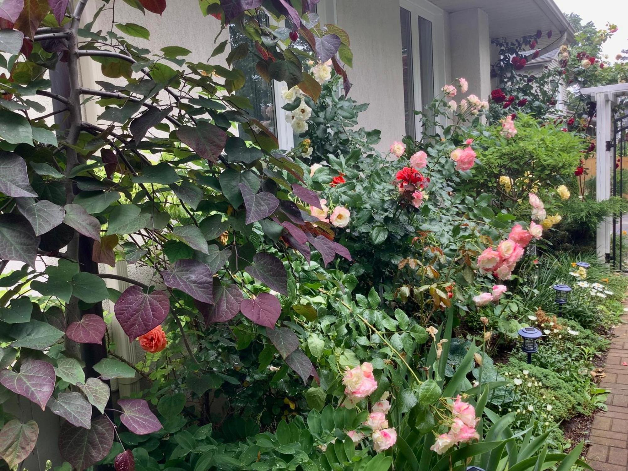 Bed and Breakfast Via Veneto - Old Town Niagara-on-the-Lake Exterior foto